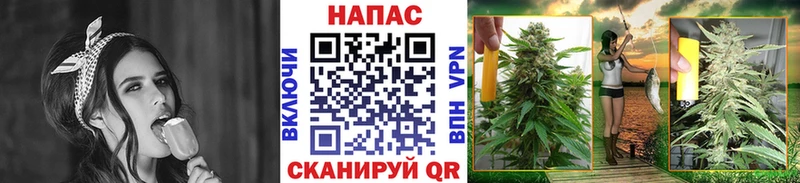 Бошки марихуана конопля Адыгейск